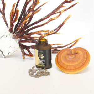 oukou deer antler reishi premium (旺煌鹿角霊芝プレミアム)