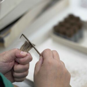 portable spring and autumn maki e brush (black) [with paulownia box]