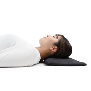 shimanto hinoki double power pillow (black)