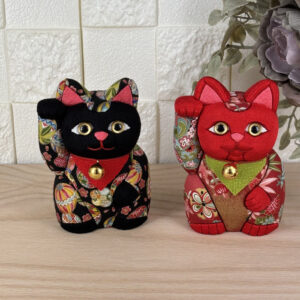 import placeholder for 8553