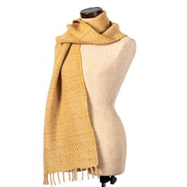 kinsenIMPRANT kinsen color